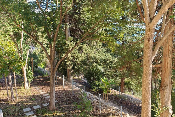 Secret Marjan Park Hiking Tour in Split - What the $58 price really covers