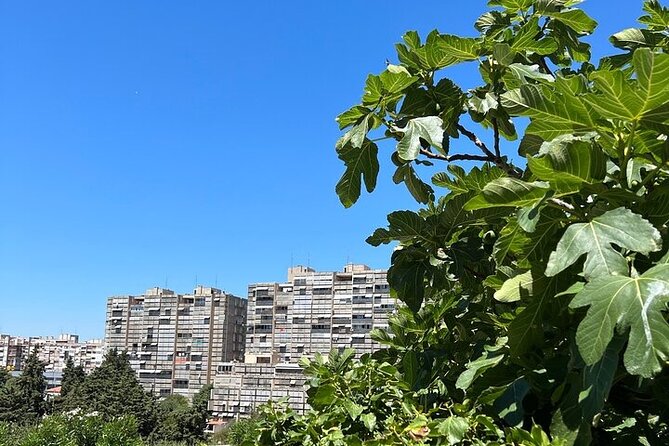 Secret Split: Socialist Architecture & brutalism - Urban Utopia - Papandopulova ulica and the first look at Split 3