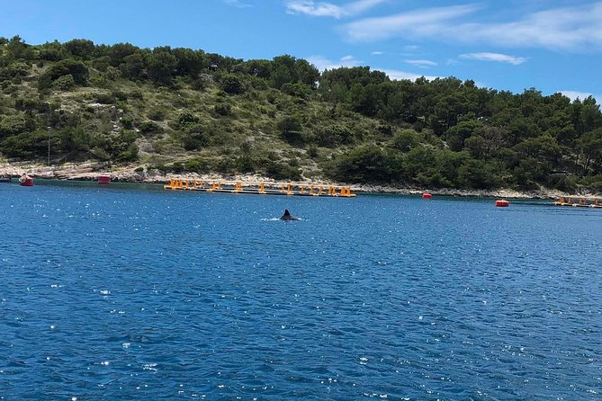 Secrets of Brac and Solta - Off the Beaten Track Croatia - Is $1,043.53 good value?