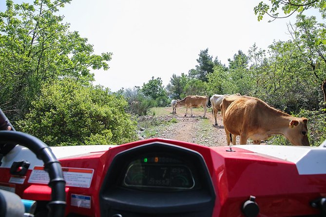 Self-drive Off Road Buggy - Why the small group matters