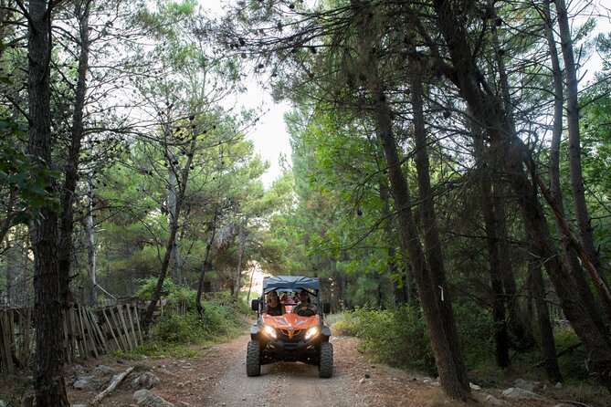 Self-drive Off Road Buggy - Price, timing, and what you really receive