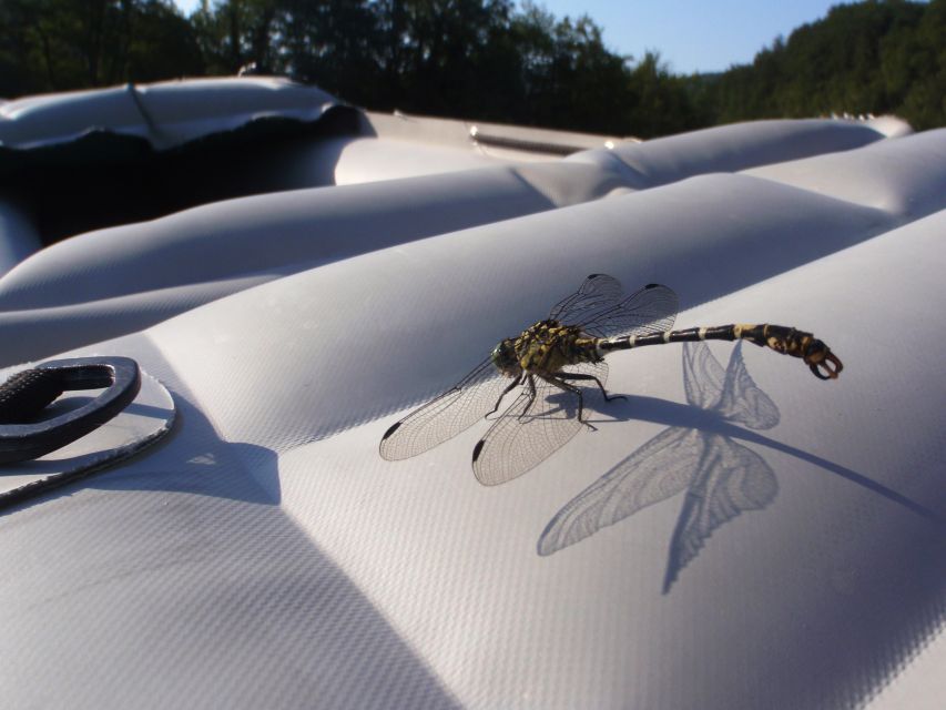Severin na Kupi: Canoeing and Kayaking on the Kupa River - Who will enjoy this four-hour paddle most