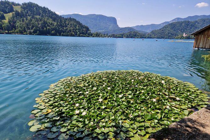 Slovenia's highlights: Bled lake and Ljubljana Full-Day Private Tour from Zagreb - Who will enjoy this Zagreb day trip