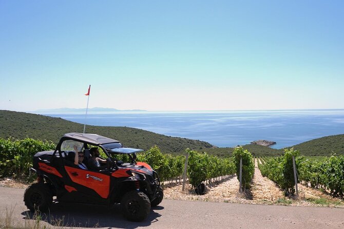 Slurp of Grk Korcula Wine Tour | Wine Tasting in Lumbarda - Meeting two family-run wineries
