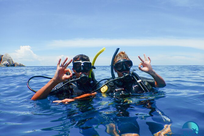 Small-Group Introductory Scuba Diving in Pula - Key points to know before booking