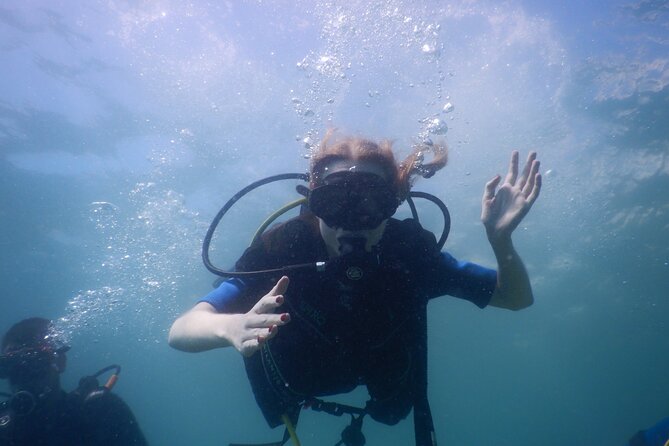 Small-Group Introductory Scuba Diving in Pula - How much personal attention can you expect?