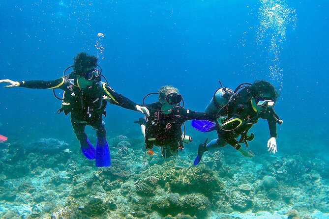 Small-Group Introductory Scuba Diving in Pula - Learning the basics before entering the sea