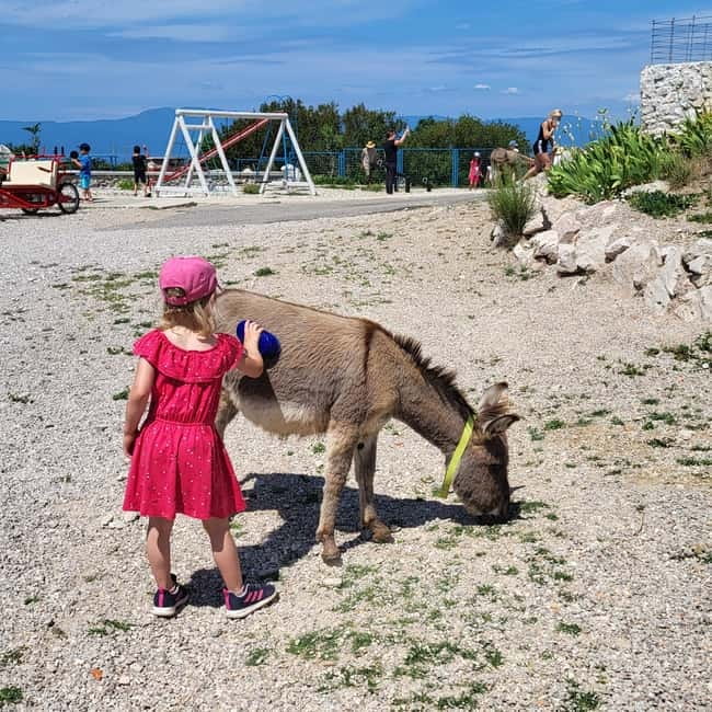 Šmrika (near Rijeka/Krk/Crikvenica) Donkey Farm Family Fun - A gentle farm stop near Rijeka, Krk, and Crikvenica