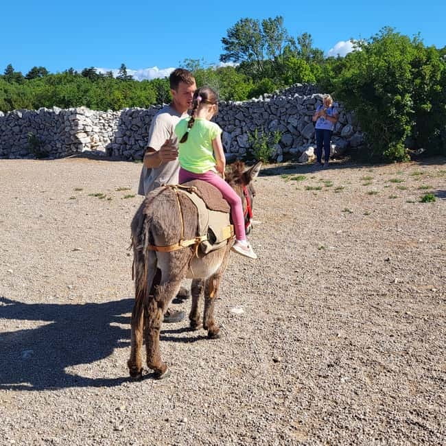 Šmrika (near Rijeka/Krk/Crikvenica) Donkey Farm Family Fun - Kvarner Bay views and time for parents