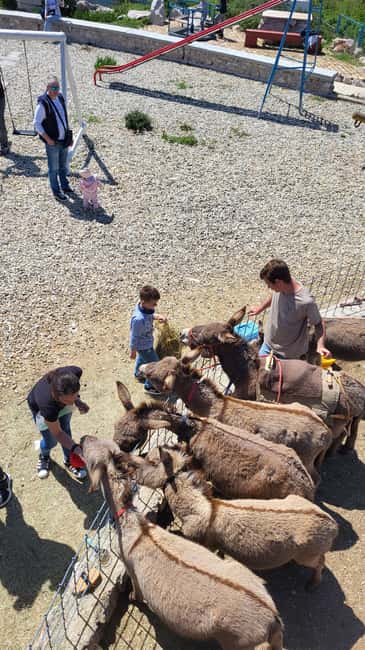 Šmrika (near Rijeka/Krk/Crikvenica) Donkey Farm Family Fun - What the $9 price really includes