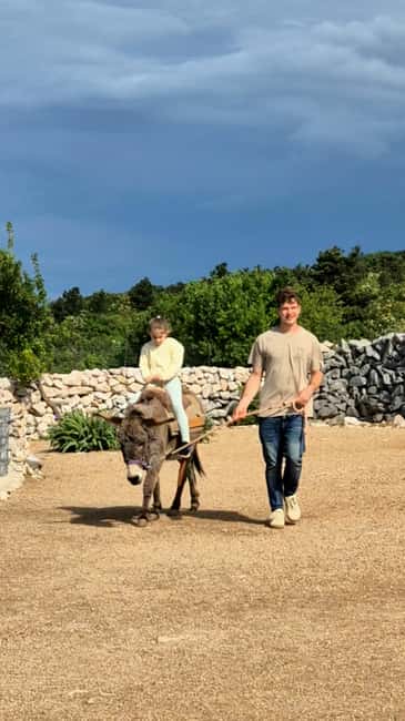 Šmrika (near Rijeka/Krk/Crikvenica) Donkey Farm Family Fun - Finding the farm from either direction