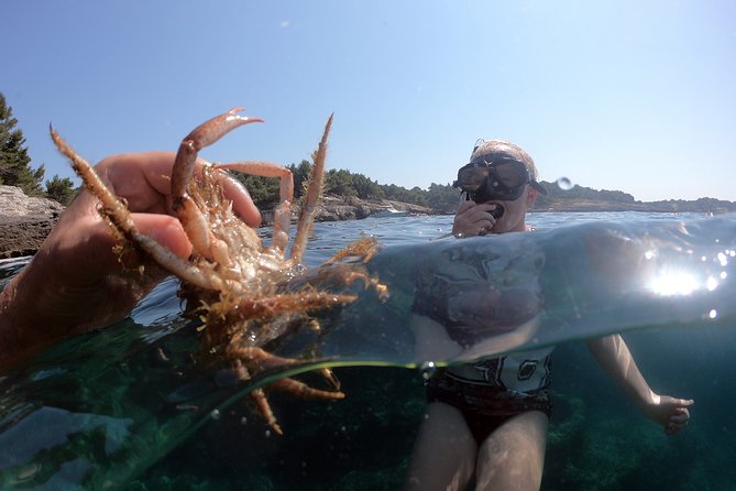 SNORKELING ADVENTURE | Pula Boat - Pigeon Cliffs and optional cliff jumping