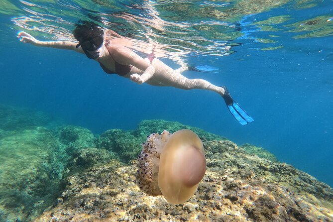 SNORKELING ADVENTURE | Pula Boat - The first swim and the underwater search