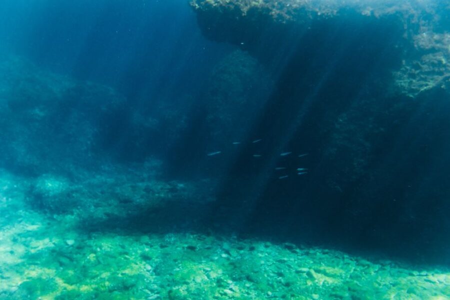 Split: 45-minute Semi-Submersible Submarine Trip - The lower cabin and its personal viewing windows