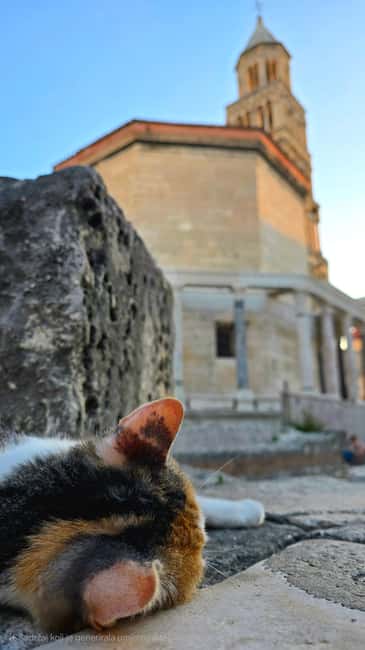 Split and Diocletian's Palace walking tour with a local guid - Why Diocletian’s Palace is more than an old monument