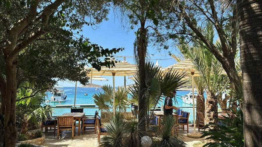 Split: Blue Lagoon, Hvar and 5 Islands Small Group Boat Tour - Pakleni Islands, swimming with a little style