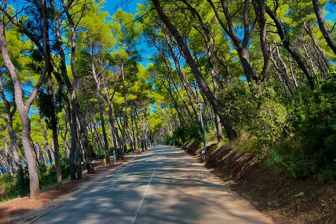 Split by Private Electric Rickshaw - Palace & Hidden Gems - Marjan Forest Park and Meštrović’s Split