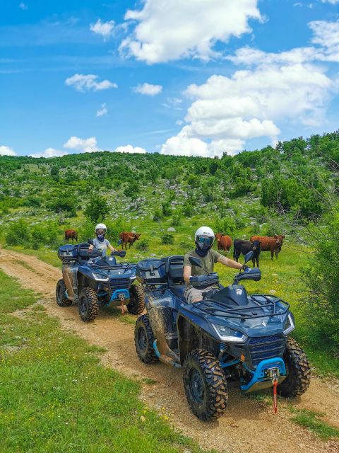 Split: Dalmatian Quad Tour with River Swimming & Picnic - Rocky tracks, open fields, and mountain valleys