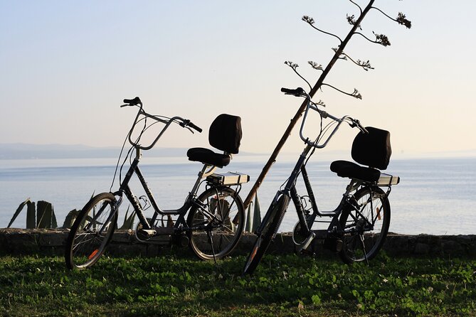 Split Electric Bicycle Tour - Is $72.56 a fair price?