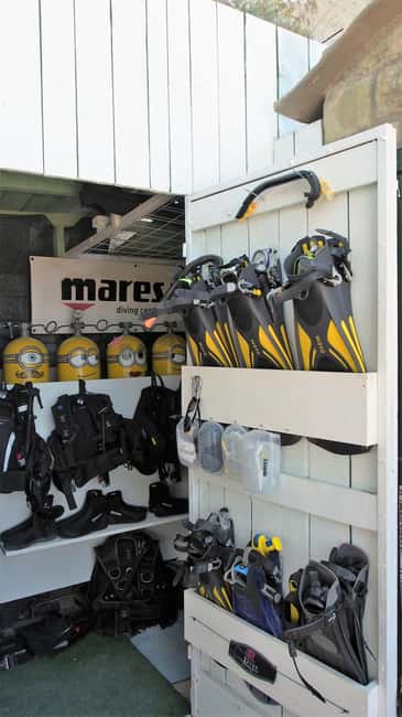 Split-Makarska-Brela Try SCUBA Dive - Timing and cancellation details worth knowing