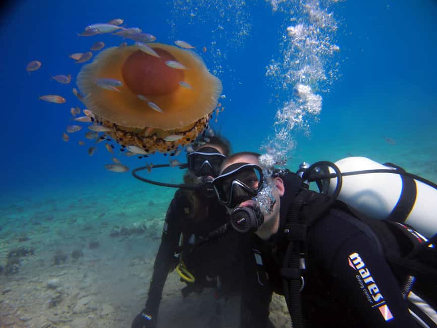 Split-Makarska-Brela Try SCUBA Dive - The 150-minute schedule, step by step