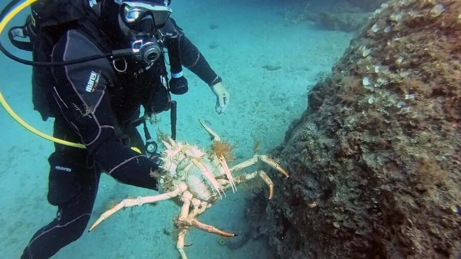 Split-Makarska-Brela Try SCUBA Dive - How the private format helps nervous beginners