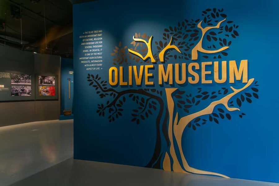 Split: Olive museum Klis with Olive Oil Tasting - Who will enjoy this visit most?