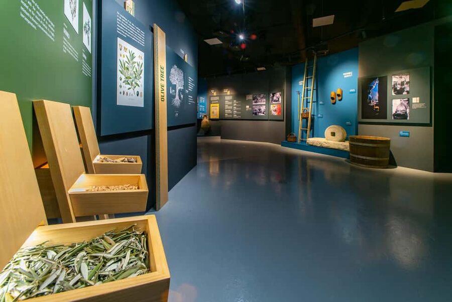 Split: Olive museum Klis with Olive Oil Tasting - Learning to smell and taste olive oil