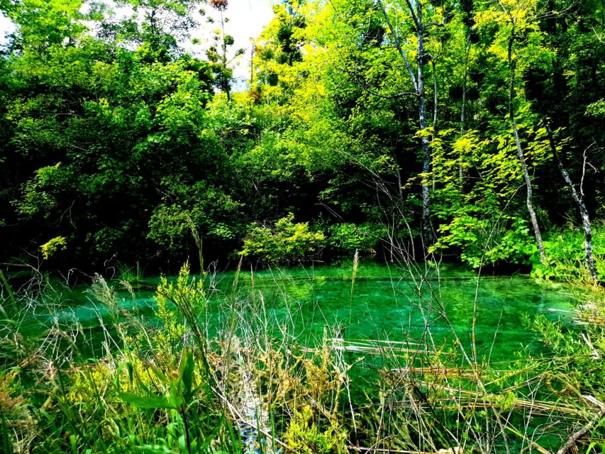 Split: Plitvice Lakes Guided Day Tour with Entry Tickets - Ways to make the day better