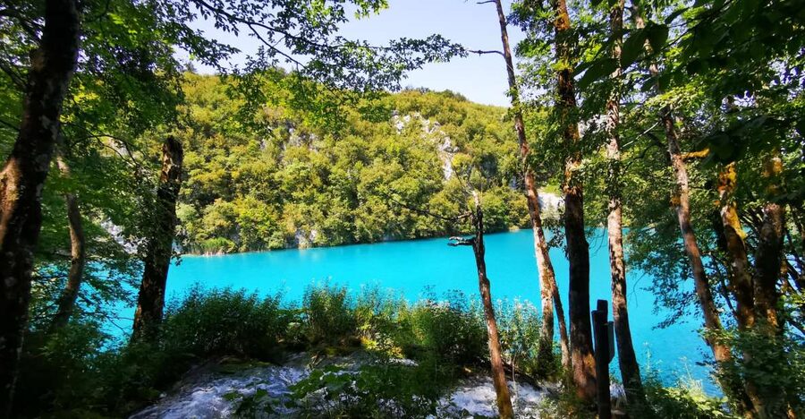 Split: Plitvice Lakes Guided Day Tour with Entry Tickets - The boat ride to the Lower Lakes