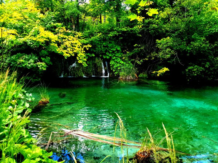 Split: Plitvice Lakes Guided Day Tour with Entry Tickets - The $116 price and what it buys