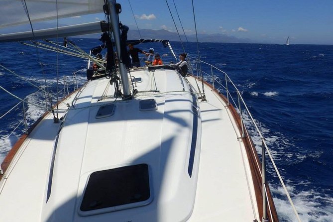 Split: PRIVATE Full-Day Sail Yacht Cruise - Per group (up to 12)! - Milna from 11:30 to 13:30