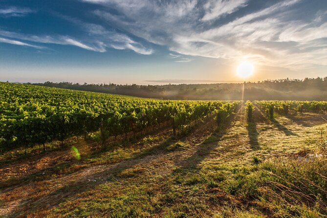 Split/Trogir/Kastela: Krka Private Tour - option: Wine Tasting - Timing, Pickup, and Booking Details