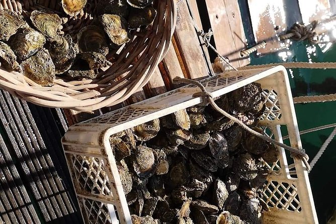 Ston Gastro Tour - Lunch with mussels and two kinds of risotto