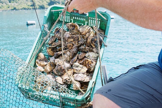Ston Gastro Tour - Dino, local connections, and the guide’s role