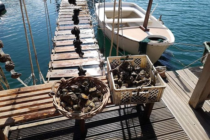 Ston Gastro Tour - Who should book this Ston day trip?