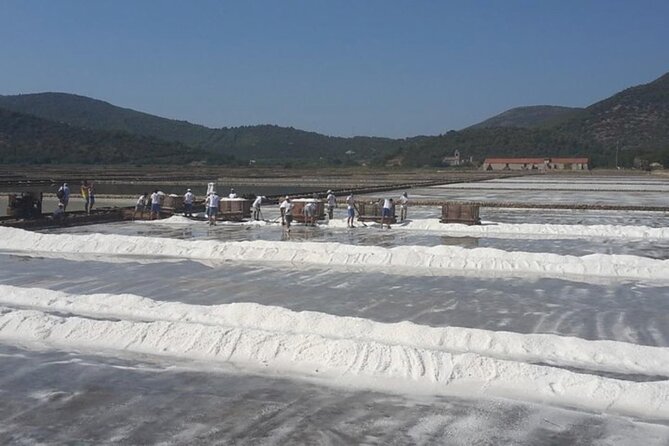 Ston Gastro Tour - Booking advice and cancellation terms