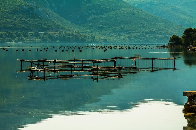 Ston Oysters & Wine Tasting Tour from Dubrovnik - The private van setup and pickup details
