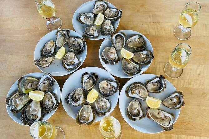 Ston Seafood & Pelješa Wine Boat Tour with Oysters and Mussels - Hodilje and the oyster boat
