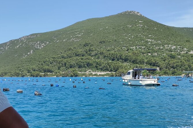 Ston Seafood & Pelješa Wine Boat Tour with Oysters and Mussels - Buzara mussels cooked on the boat