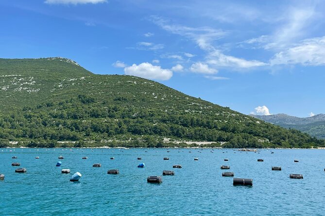 Ston Seafood & Pelješa Wine Boat Tour with Oysters and Mussels - Ston in 45 minutes
