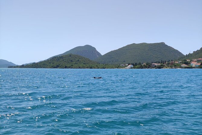 Ston Seafood & Pelješa Wine Boat Tour with Oysters and Mussels - Who should book this experience