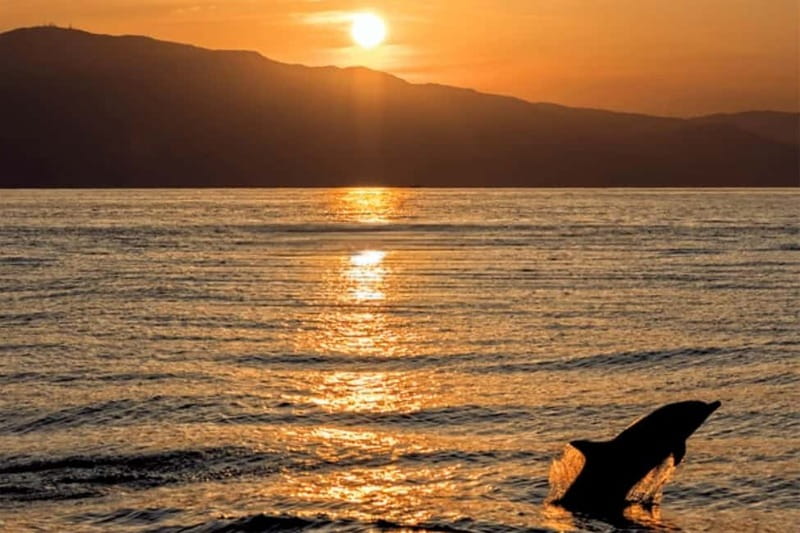 Sunset Dolphin Cruise with Dinner – Medulin Archipelago - Leaving Medulin Harbour for the Adriatic evening