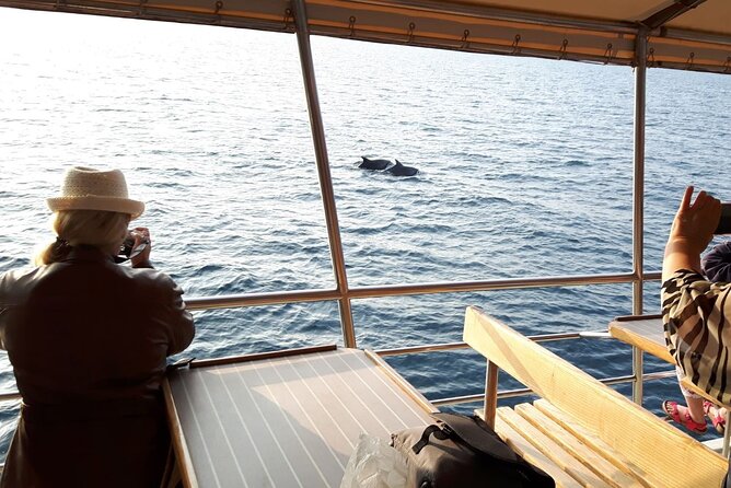 Sunset Dolphin Watching Boat Tour from Vrsar - Is the $30.04 fare good value?