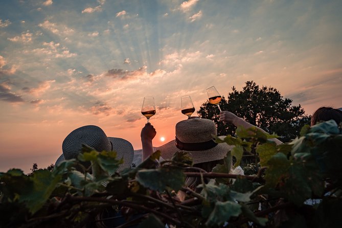 Sunset wine tasting in vineyard - Tasting wine beside the vines