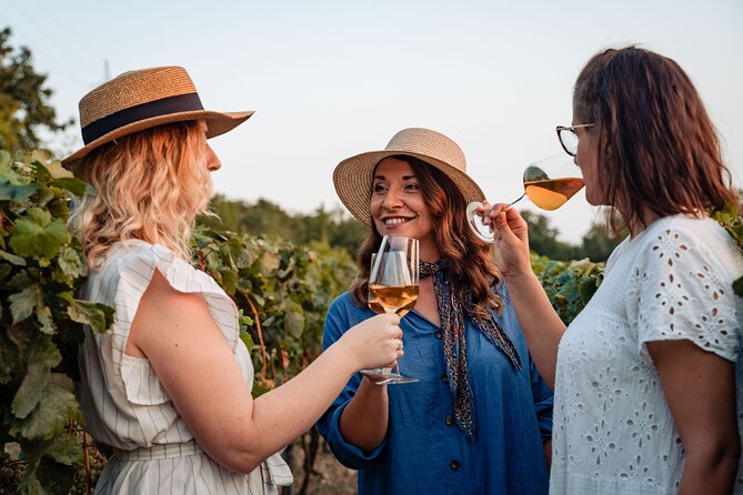 Sunset wine tasting in vineyard - The walk through the old forest