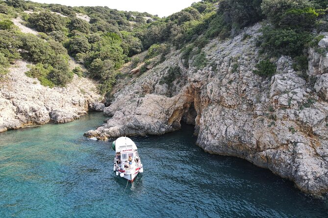 Swimming and Snorkeling on the Wild Bays 3.5 Hours (PUBLIC) - Who Will Enjoy This Most?