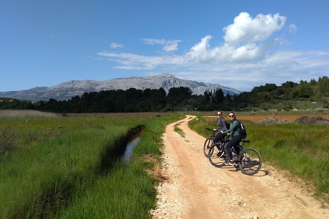 Taste of Korcula by Bike Tour | Korcula Wine & Food Tasting - Honey, flowers, and Korcula’s first taste