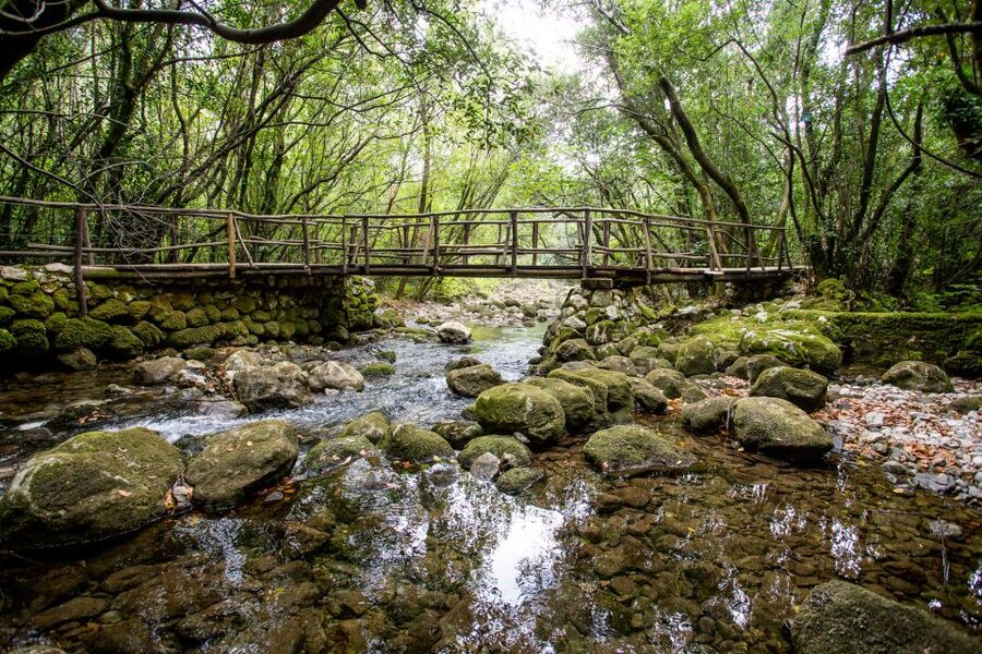 Taste & Tradition of Dubrovnik Countryside - Key points to know before booking