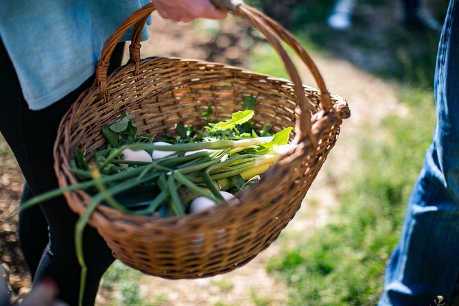 Traditional Cooking Class in Dubrovnik Countryside - What You Actually Cook